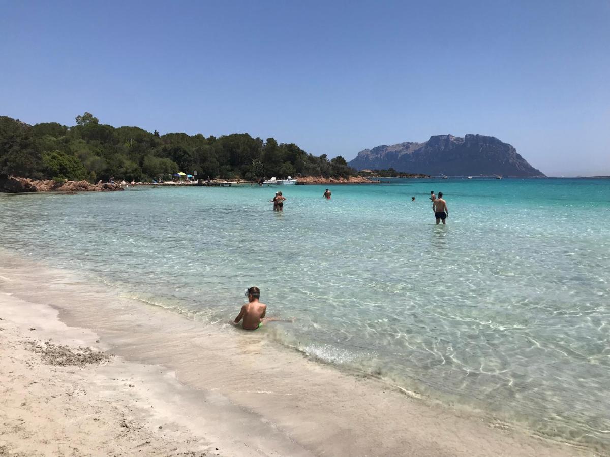 Olbia House 아파트 외부 사진